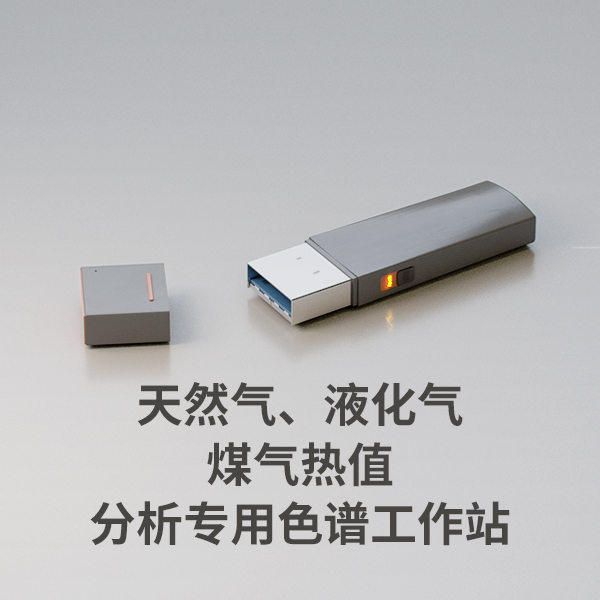 天然氣、液化氣、煤氣熱值分析專用色譜工作站