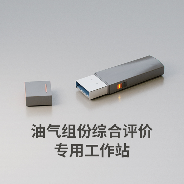 油氣組份綜合評(píng)價(jià)專用工作站
